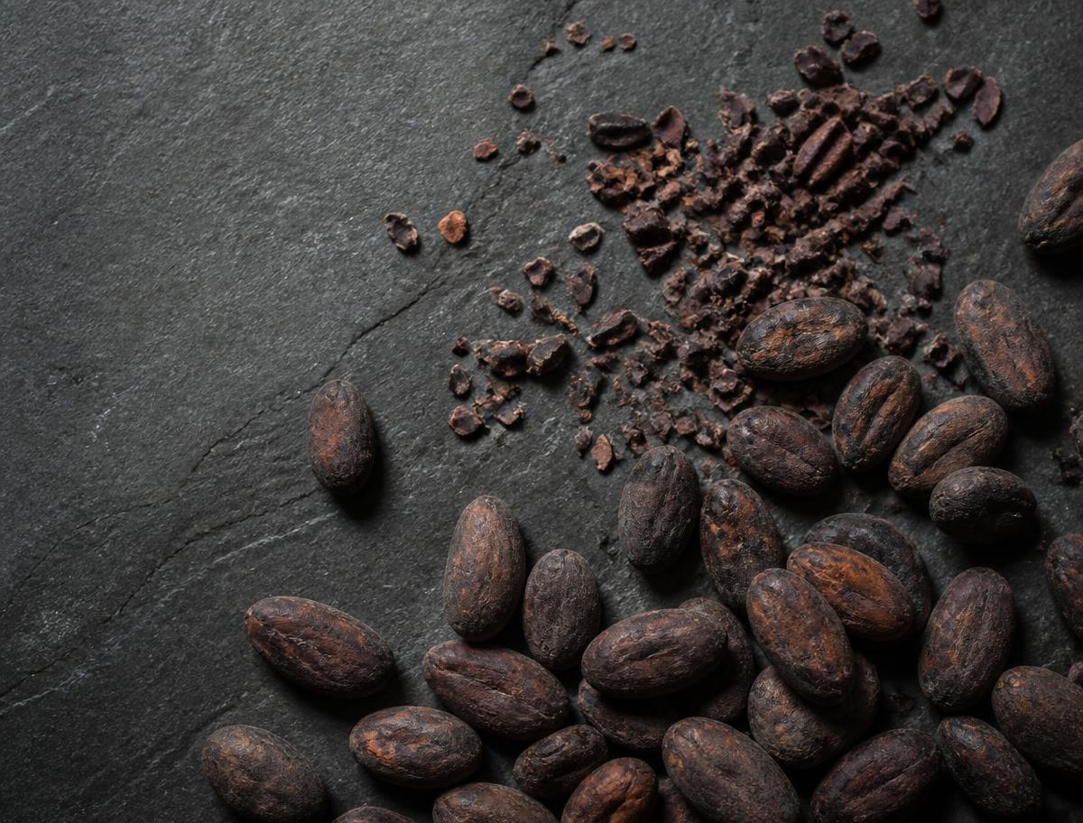 Cocoa — Indonesian commodity supplied by Java Resources