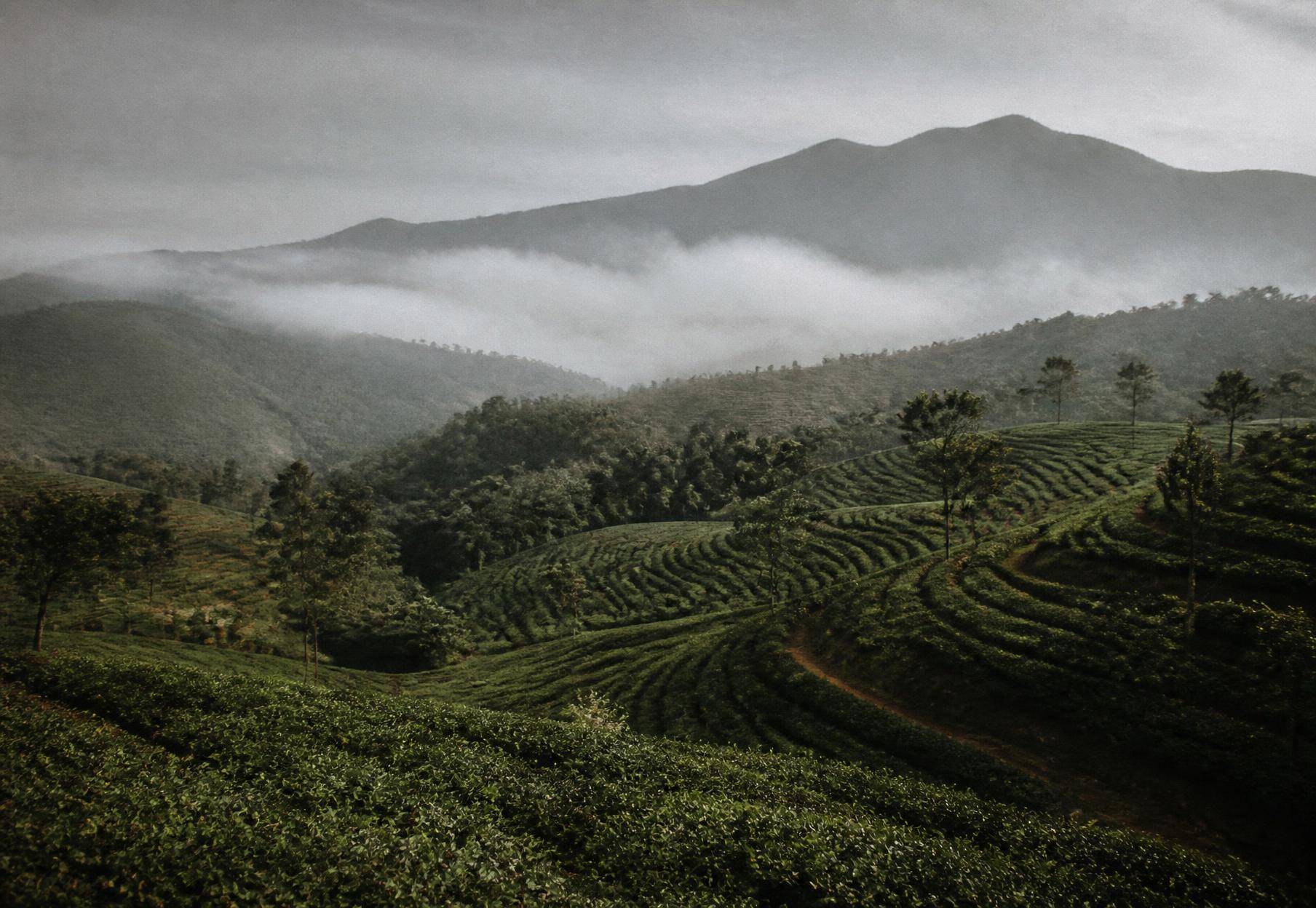 Indonesian agricultural landscape across terraced highlands